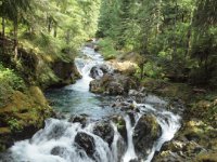 Opal Creek 2